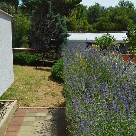Apartament Aurora *